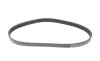 Ремінь генератора VW Golf VI/Caddy III 1.6-2.0 TDI 10-/Skoda Octavia 09-13/Audi A3 1.6/2.0TDI 03-13 Contitech 6PK842 ELAST (фото 5)