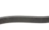 Ремень генератора Citroen C1/Peugeot 107/Toyota Aygo 1.0 i 05-14 Contitech 6PK850 (фото 2)