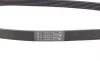 Ремень генератора Renault Master 2.5D 98-01/Skoda Fabia 1.4TDI 03-07/VW Polo/Fox 1.4TDI 03- Contitech 6PK858 (фото 3)