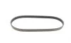 Ремень генератора Ford Fiesta 1.3 96-03/Opel Movano 2.5D 98-00/Mazda 121 1.3 96-03 Contitech 6PK862 (фото 4)