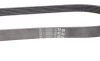 Ремінь генератора Citroen Jumper/Peugeot Boxer 2.0/2.2HDi 04- (-AC)/Opel Movano 2.5D Contitech 6PK873 ELAST (фото 3)