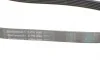 Ремінь генератора Toyota Auris/ Yaris 1.33 09-12/Audi 80/A6 1.9TDI 91-07/Nissan Maxima 2.0/3.0 95-00 Contitech 6PK890 (фото 3)