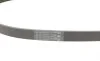 Ремень генератора Citroen C4/C5 14-/Renault Kangoo/Clio 1.9D 97-/VW Passat B3/B4 88-97/Sharan 95-10 Contitech 6PK894 (фото 3)