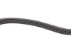 Ремінь генератора VW Caddy/Golf/Skoda Octavia 1.6/2.0 04-15/Fiat Ducato 2.5TDI 94-02/Scudo 1.6 96-06 Contitech 6PK900 (фото 3)