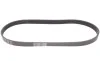 Ремінь генератора VW Golf III/IV/Bora/Skoda Octavia 1.9TDI/SDI 98-10/Mitsubishi Mirage 1.0/1.2 12- Contitech 6PK906 (фото 5)