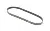 Ремень генератора Fiat Punto 1.7TD 94-99/Honda Accord 2.0/2.3i 93-03 Contitech 6PK935 (фото 5)