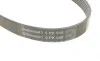 Ремень генератора VW Caddy/Golf/Passat 1.9-2.0 TDI 03-10/Peugeot Boxer 2.8HDi 00- Contitech 6PK948 (фото 3)