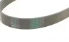 Ремень генератора VW Caddy/Golf/Passat 1.9-2.0 TDI 03-10/Peugeot Boxer 2.8HDi 00- Contitech 6PK948 (фото 4)