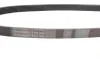 Ремінь генератора VW Golf/Skoda Octavia 2.0i 04-13/Mazda 2/3 1.5 13-/Kia Ceed/Cerato 1.4/1.6 07- Contitech 6PK955 (фото 2)