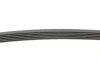 Ремень генератора Peugeot Partner/307/508 02-/Citroen Berlingo/C2/C3/C4/C5 1.6 HDi 04- Contitech 6PK976 (фото 2)