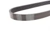 Комплект ремня генератора Ford Focus/Fiesta/Fusion 1.4/1.6TDCi 03-/Mazda 3 1.6 DI 04-13 Contitech 6PK976K1 (фото 9)