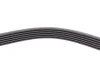 Комплект ремня генератора Ford Focus/Fiesta/Fusion 1.4/1.6TDCi 03-/Mazda 3 1.6 DI 04-13 Contitech 6PK976K1 (фото 10)