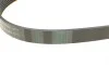 Ремень генератора BMW 1 (F20/F21)/3 (F30/F80) 1.6i 11-/Honda Civic VII/FR-V 1.7i 01- Contitech 6PK986 (фото 3)