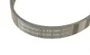 Ремень генератора BMW 1 (F20/F21)/3 (F30/F80) 1.6i 11-/Honda Civic VII/FR-V 1.7i 01- Contitech 6PK986 (фото 4)