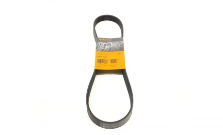 Ремінь генератора BMW 1 (F20/F21)/3 (F30/F80) 1.6i 11-/Honda Civic VII/FR-V 1.7i 01- Contitech 6PK986