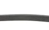 Ремінь генератора Renault Clio III/Modus/Twingo 1.2 05-/BMW 7 (E38) 5.4 94-01/Nissan Pathfinder 12- Contitech 7PK1035 (фото 2)