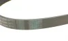 Ремінь генератора Renault Clio III/Modus/Twingo 1.2 05-/BMW 7 (E38) 5.4 94-01/Nissan Pathfinder 12- Contitech 7PK1035 (фото 3)