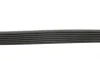 Ремінь генератора Toyota Hilux 2.5 D-4D 01-15/Volvo V60 2.4 12-18/Nissan Micra 1.2 10- Contitech 7PK1093 (фото 2)