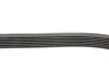 Ремінь генератора Renault Megane/Scenic 1.9dCi/2.0 03-/Nissan Juke 1.6 10- Contitech 7PK1125 (фото 2)