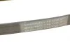 Ремінь генератора Renault Megane/Scenic 1.9dCi/2.0 03-/Nissan Juke 1.6 10- Contitech 7PK1125 (фото 4)