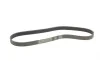 Ремінь генератора Renault Megane/Scenic 1.9dCi/2.0 03-/Nissan Juke 1.6 10- Contitech 7PK1125 (фото 5)
