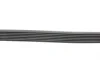 Ремінь генератора Nissan Qashqai 1.6 07-13/Toyota Land Cruiser Prado 3.0D 02-09 Contitech 7PK1153 (фото 2)