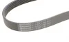 Ремінь генератора Nissan Qashqai 1.6 07-13/Toyota Land Cruiser Prado 3.0D 02-09 Contitech 7PK1153 (фото 4)