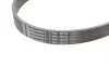 Ремень генератора VW Touareg 3.0 Hybrid 10-18/Audi A4/A6/A7/Q5/Q7 3.0TFSI 08-17 Contitech 7PK1272 (фото 4)