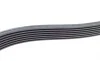 Ремень генератора Toyota Hilux 2.5D-4D 05-15 Contitech 7PK1516 (фото 4)