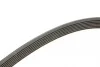 Ремінь генератора Honda Civic 1.8 05-/CR-V 2.0 06-12 Contitech 7PK1538 (фото 3)