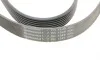 Ремінь генератора Toyota Camry 3.5 V6 11-17/ Lexus GS/ IS/ ES 2.5-3.5 05- Contitech 7PK1549 (фото 4)