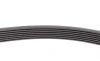 Комплект пасу поліклинового Renault Kangoo/Megane Contitech 7PK1605K1 (фото 4)