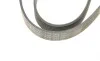 Ремень генератора BMW X5 (E53) 01-03 (M62) Contitech 7PK1623 (фото 3)