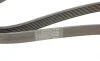 Ремень генератора BMW X5 (E53) 01-03 (M62) Contitech 7PK1623 (фото 4)