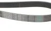 Ремінь генератора BMW 5 (E39/G30/F90)/7 (E38/F01/F02/F03/F04) 3.5-6.0 96- Contitech 7PK1629 (фото 3)