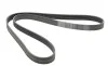 Ремінь генератора BMW 5 (E39/G30/F90)/7 (E38/F01/F02/F03/F04) 3.5-6.0 96- Contitech 7PK1629 (фото 4)