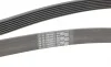 Ремінь генератора BMW 5 (E39/F10)/7 (E38) 3.5i/4.0i 96-03 Contitech 7PK1635 (фото 3)