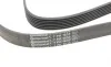 Ремінь генератора BMW 5 (E39/F10)/7 (E38) 3.5i/4.0i 96-03 Contitech 7PK1635 (фото 4)
