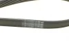 Ремень генератора BMW 5 (F10/G30/F90)/7 (F01/F02/F03/F04/G11/G12)/X5 (E70)/X6 (E71/E72) 09- Contitech 7PK1647 (фото 4)