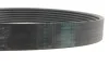 Комплект ремня генератора Renault Grand II-III/Laguna/Megane 2.0dCi 06- Contitech 7PK1705K1 (фото 2)