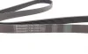 Ремень генератора BMW 7 (E65/E66/E67) 4.0/4.5D 02-08/Honda Accord 2.0 03-08 Contitech 7PK1760 (фото 2)