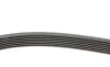Ремень генератора Renault Megane/Scenic 1.4 09-/Honda Accord/CR-V 2.2 i-CTDi 04- Contitech 7PK1785 (фото 2)