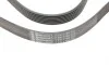 Ремень генератора Renault Megane/Scenic 1.4 09-/Honda Accord/CR-V 2.2 i-CTDi 04- Contitech 7PK1785 (фото 3)