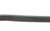 Ремень генератора Renault Master 3.0dCi/Opel Movano 3.0dTi 03-/Toyota Rav4 2.0 06-13/Avensis 01-09 Contitech 7PK1920 (фото 2)