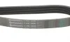 Ремень генератора Renault Master 3.0dCi/Opel Movano 3.0dTi 03-/Toyota Rav4 2.0 06-13/Avensis 01-09 Contitech 7PK1920 (фото 3)