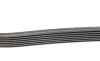Ремінь генератора Toyota Camry/Avensis/RAV4 2.0/2.4 00-/Land Cruiser Prado 3.0D 00- Contitech 7PK1933 (фото 2)