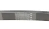 Ремінь генератора Toyota Camry/Avensis/RAV4 2.0/2.4 00-/Land Cruiser Prado 3.0D 00- Contitech 7PK1933 (фото 3)