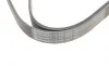 Ремінь генератора Toyota Camry/Avensis/RAV4 2.0/2.4 00-/Land Cruiser Prado 3.0D 00- Contitech 7PK1933 (фото 4)