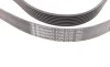 Ремінь генератора Land Rover Range Rover/Toyota Land Cruiser 120 4.0i/4.6 94-10 Contitech 7PK2120 (фото 2)