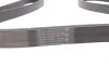 Ремень генератора Kia Sorento 2.5 CRDI 06-/Land Rover Discovery/Range Rover 88-04 Contitech 7PK2255 (фото 2)